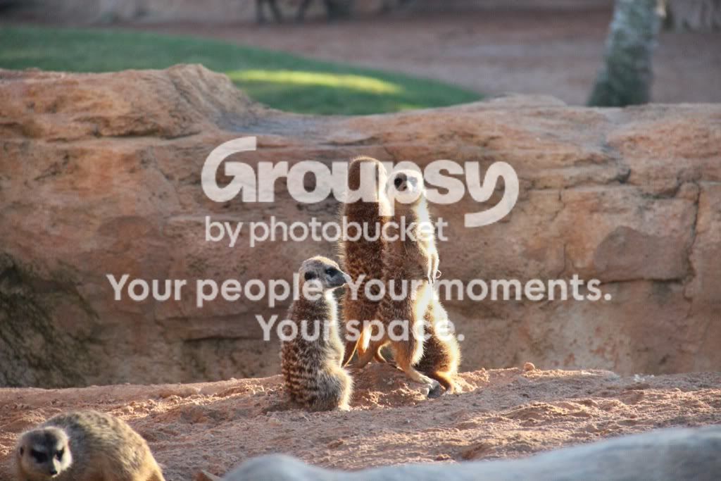 [TodoMarino.com] Mi nueva Canon EOS600D+ Fotos Biopark(vlc)