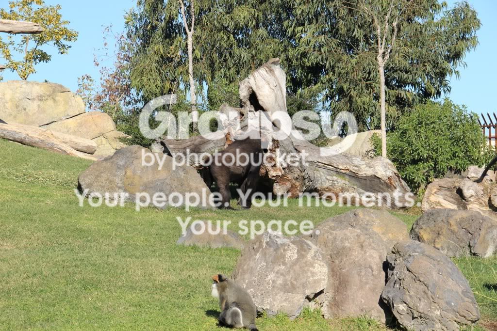 [TodoMarino.com] Mi nueva Canon EOS600D+ Fotos Biopark(vlc)