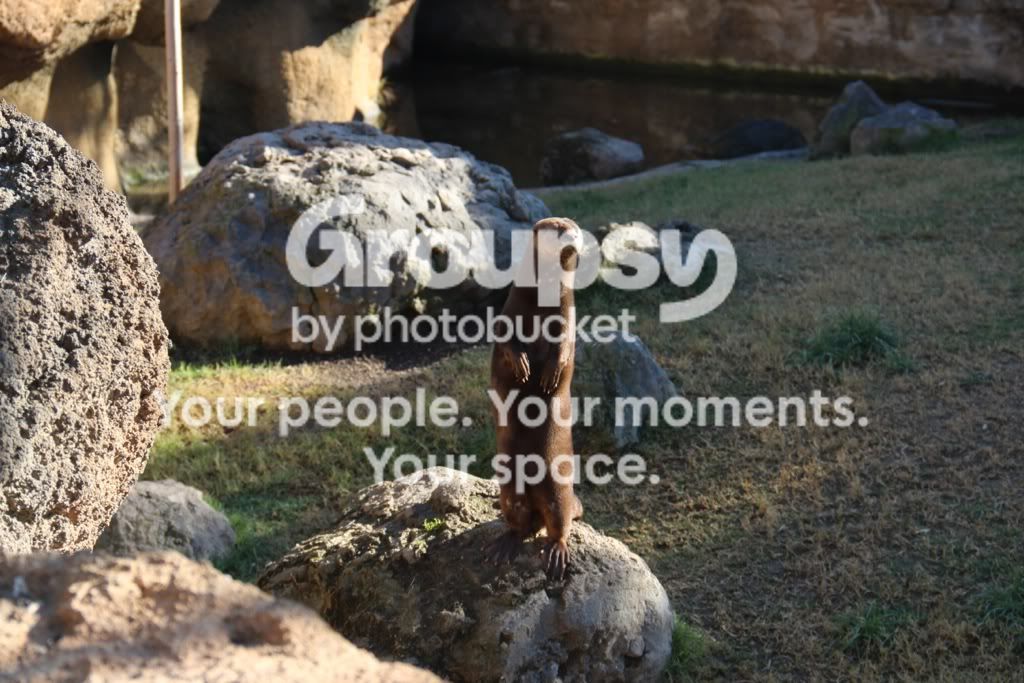 [TodoMarino.com] Mi nueva Canon EOS600D+ Fotos Biopark(vlc)