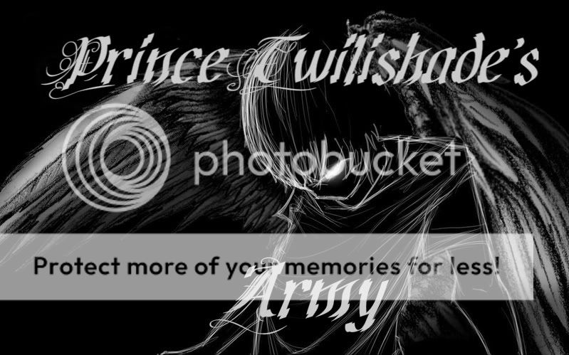 Prince Twilishade's Army banner